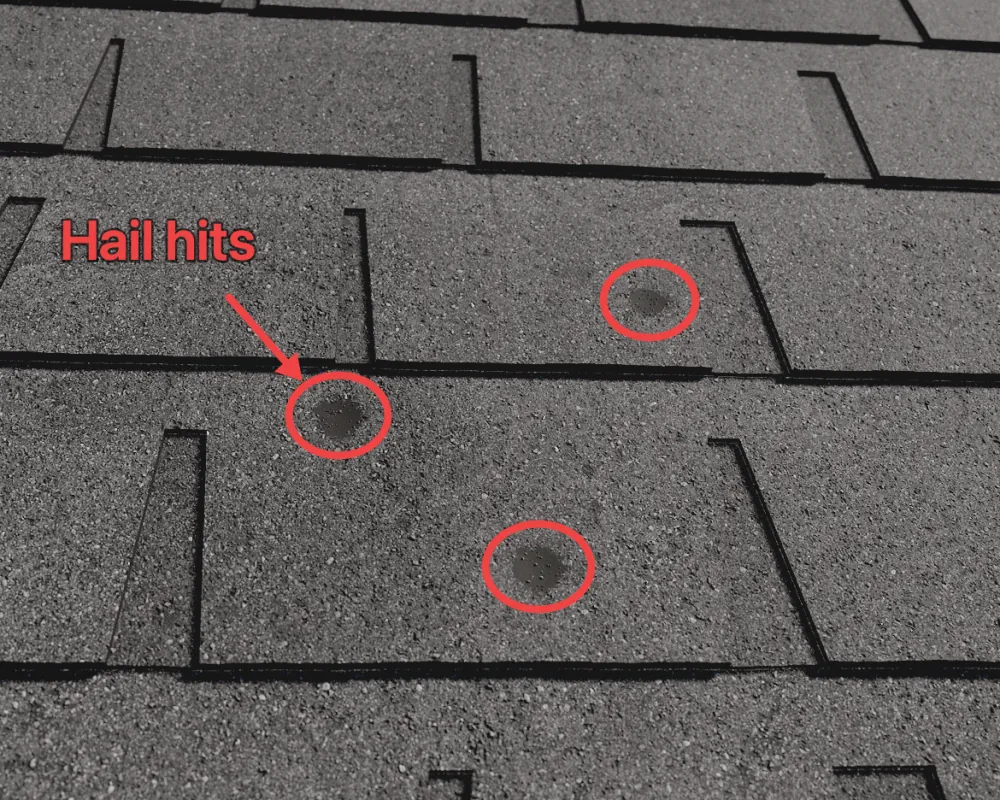 Hail hits on the shingles, circled in red, with an arrow and the note Hail hits